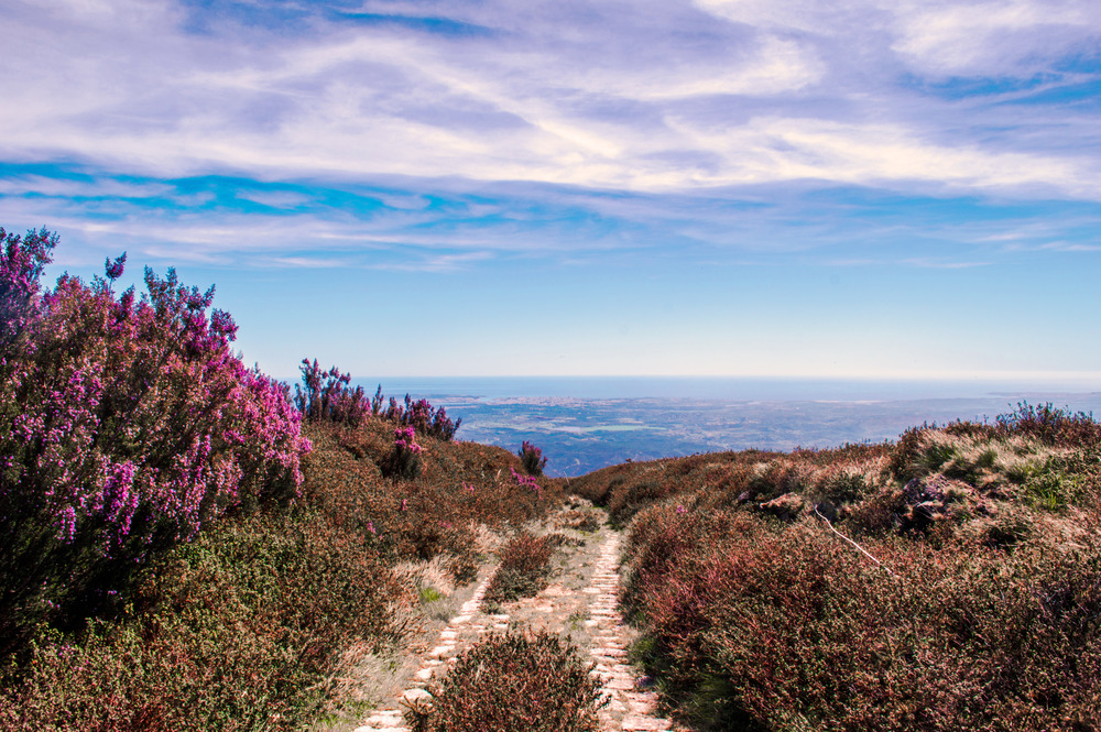 Vandring p Monchique Trail